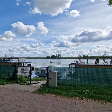 ホテル Hausboote Unteres Odertal Hausboot Kranich シュヴェット エクステリア 写真