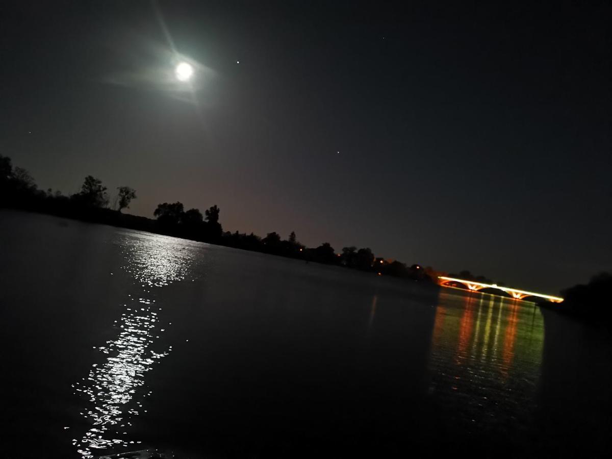 ホテル Hausboote Unteres Odertal Hausboot Kranich シュヴェット エクステリア 写真